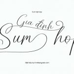 Font Việt hóa 1FTV VIP Summerfun